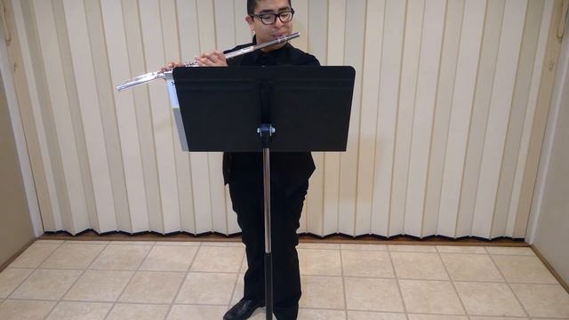 Hindemith Sonata for Flute Mvt 2 смотреть онлайн