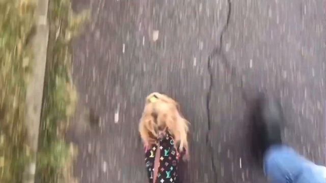 Все о породе-Йоркширский терьер. Стоит ли заводить йорка? смотреть онлайн