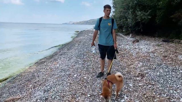 Поездка на УТЁС СТЕПАНА РАЗИНА смотреть онлайн