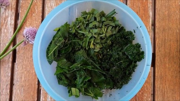 Зелёный борщ с щавелем и крапивой - дешево, но очень вкусно!/Grüner Borschtsch mit Sauerampfer