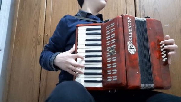 laparisa in golden cup accordion