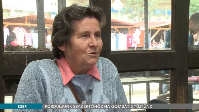 Forduljunk szakértőhöz ha gombát gyűjtünk - 2018.06.27. смотреть онлайн