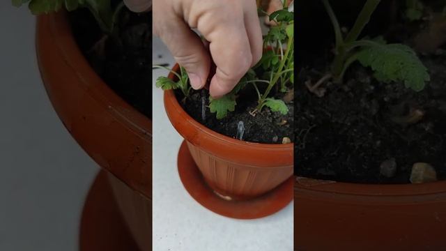 Сосульки тоже пригодятся смотреть онлайн