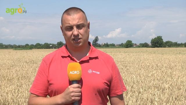 Баритон Супер и Децис 100 - с. Златитрап, обл. Пловдив смотреть онлайн
