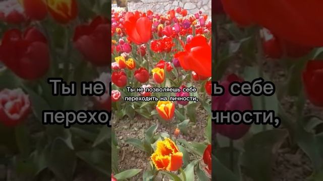 На здоровую голову