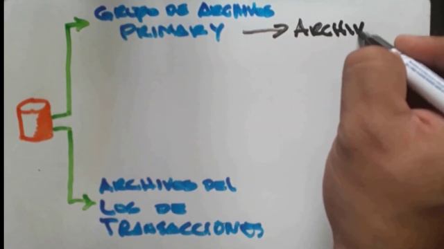 Estructura de una base de datos en el SQL Server смотреть онлайн