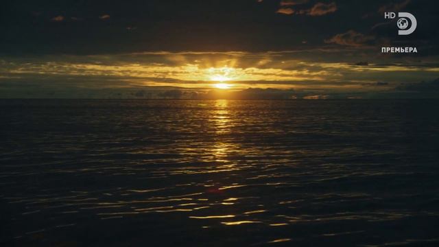 Крушение "Эстонии". 4-я серия. (окончание) смотреть онлайн