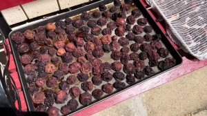 Сушим сливы в домашних условиях, получаем вкуснейший чернослив.