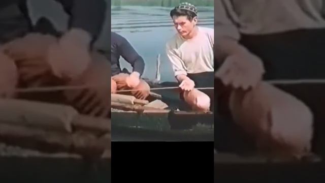 мастер класс по ловле сома на квок смотреть онлайн