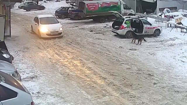 Жесткое видео с уличной камеры видеонаблюдения в Самаре смотреть онлайн