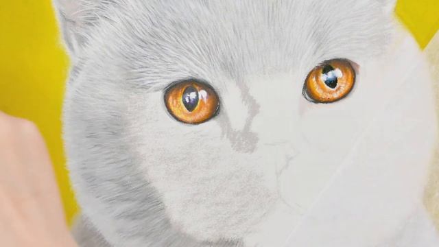 Как нарисовать британца. Портрет Коди. смотреть онлайн