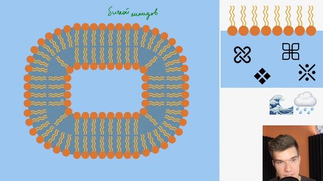 1.2. Происхождение клеток | Теория абиогенеза | Общая биология к ЕГЭ | Георгий Мишуровский смотреть онлайн