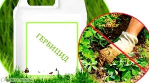 ➤100% способ КАК избавиться от травы между плиткой ➤ ТРАВА НА ДОРОЖКАХ МЕЖДУ ПЛИТОК