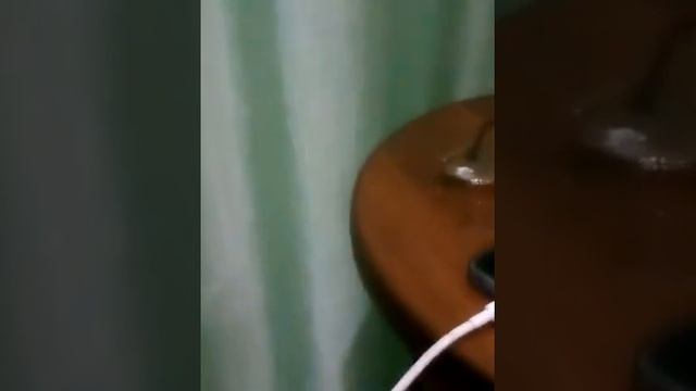 Гнездо для амадинов или попугаев своими руками смотреть онлайн