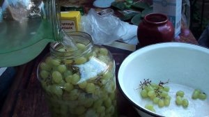 квашеный виноград