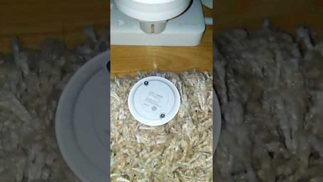 Aqara Smart Water Sensor c Gearbest смотреть онлайн