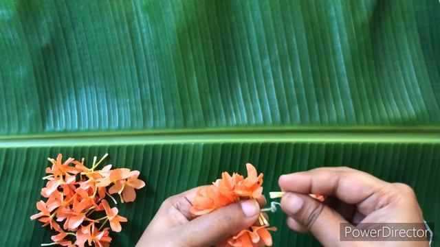 अबोली गजरा # Aboli flower gajra # смотреть онлайн