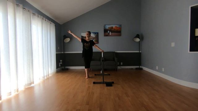 Ballet Class #6 - Diana Ford Dance - Livestream Recording - class is MIRRORED for your convenience! смотреть онлайн