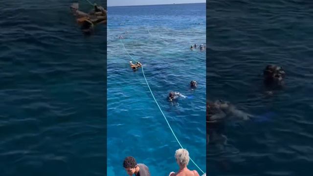 Egypt. Red Sea. Sharm el Sheikh. Египет. Красное море. Шарм эль Шейх смотреть онлайн