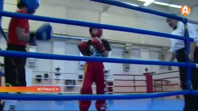 В Мурманске состоялся турнир по кикбоксингу памяти Тараса Далидовича смотреть онлайн