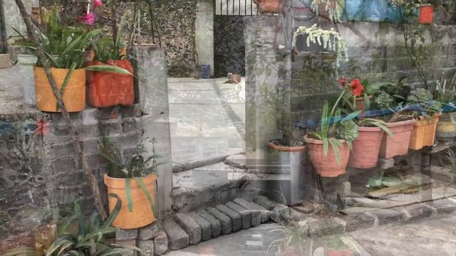 Test foto y video cámara Canon sx 70 hs смотреть онлайн