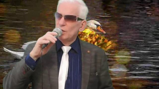 Лебедь белая.- Александр Корешков