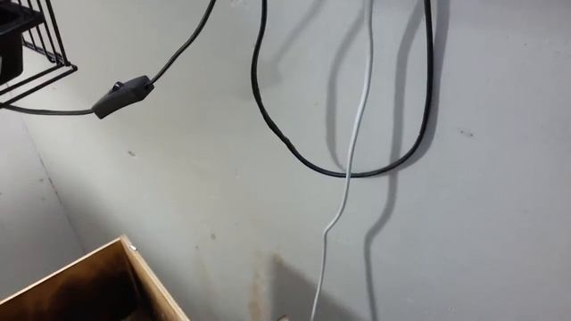 Осмотр гнезд. Овоскопирование яиц.