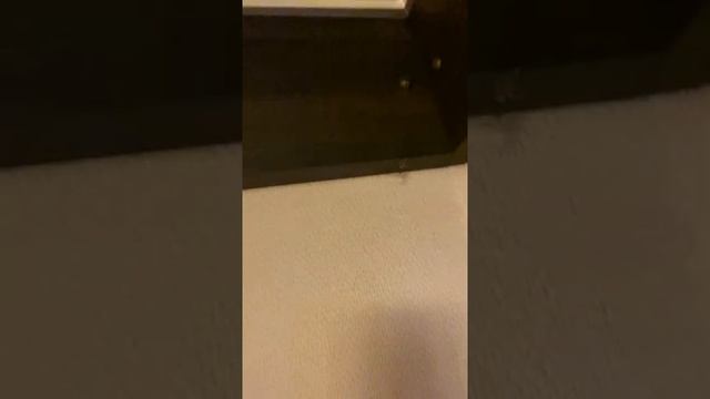 Гостиница баккара пауки смотреть онлайн