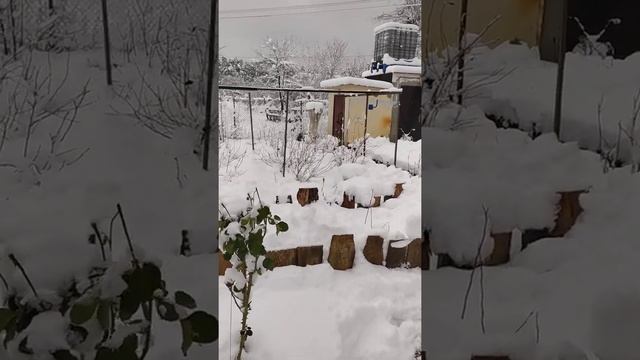 Голубика.Зима 2021 смотреть онлайн