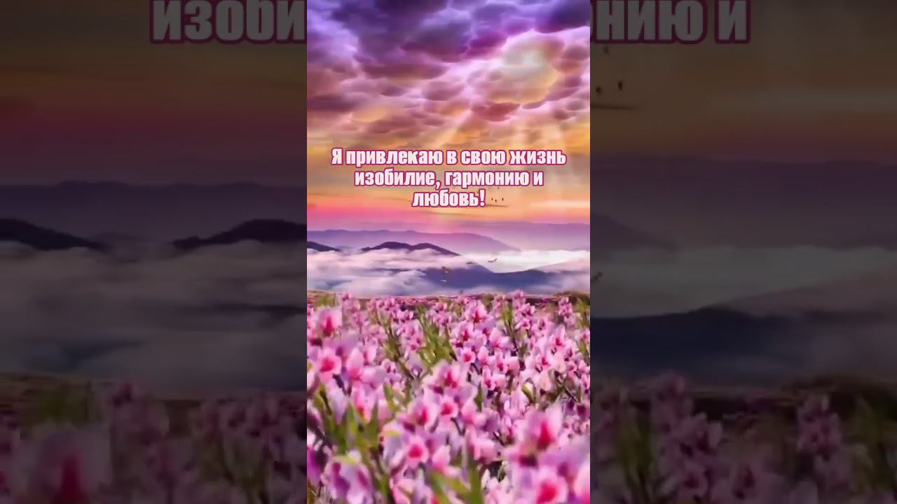 Я привлекаю в свою жизнь гармонию, изобилие и любовь! #аффирмации #любовь #жизнь #изобилие #гармония смотреть онлайн