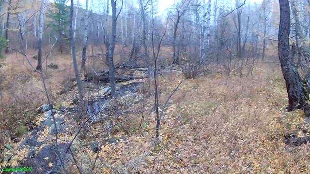 Охота на зайца беляка по чернотропу! (Мр-94 "Север"). смотреть онлайн