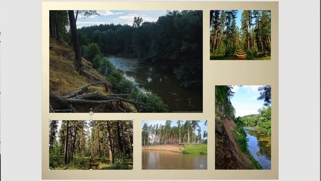 Экспедиции энтомолога Эко лекторий 2022-25 (1 часть) Алекснадр Тилли смотреть онлайн