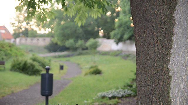 Nikkor 17-55/2.8 vs Tamron 17-50/2.8 смотреть онлайн