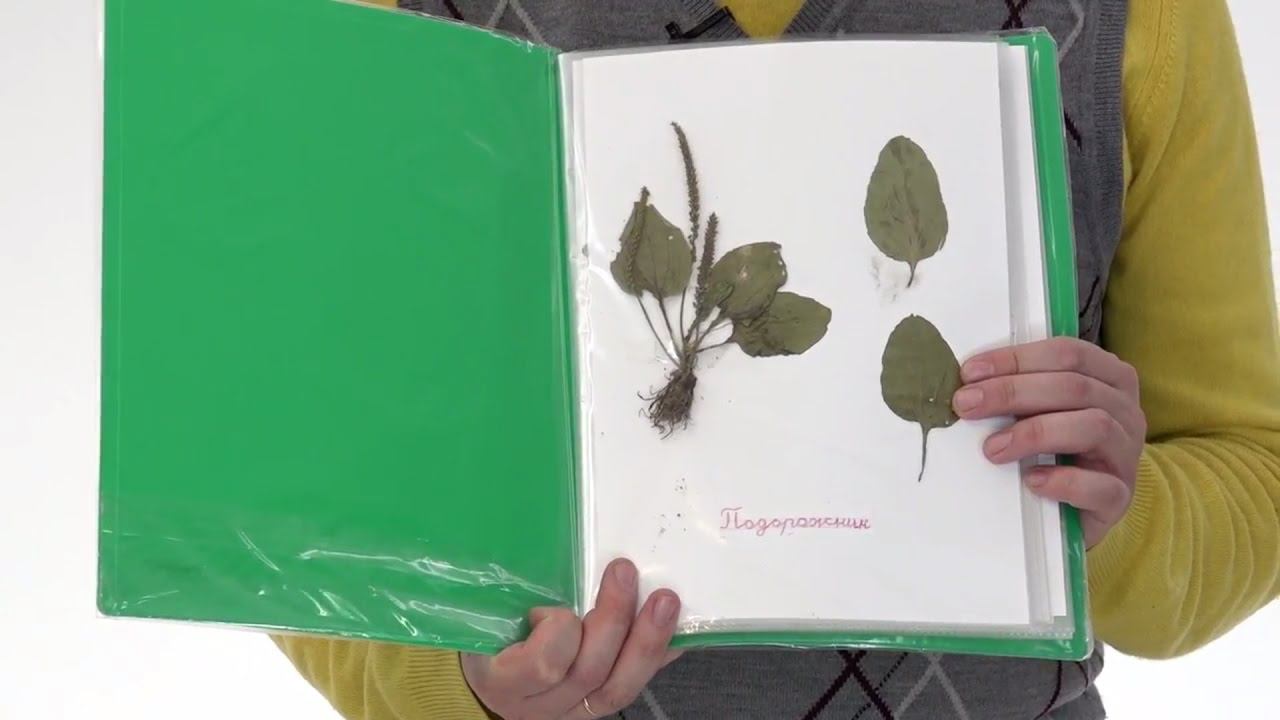 47. Летние задания смотреть онлайн