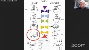 Генетическая тромбофилия. Повышенный холестерин, густая кровь, тромбы, расширение вен. Руденко В.В.