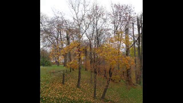 Музей заповедник Царицыно,осень 2 часть смотреть онлайн
