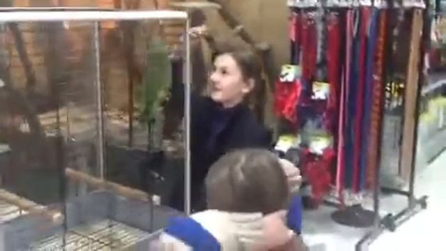 Дети в Planeta Zoo K9 смотреть онлайн