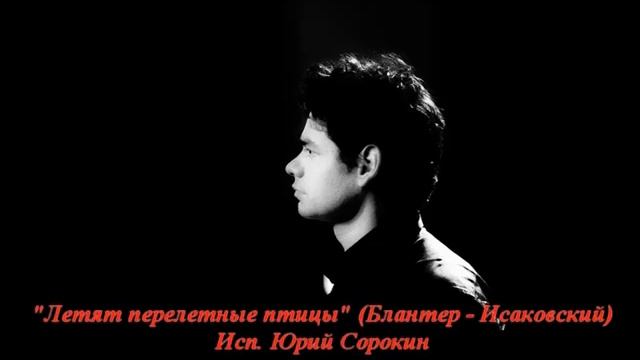 Юрий Сорокин - Летят перелетные птицы. Yuri Sorokin-Flying migratory birds. смотреть онлайн