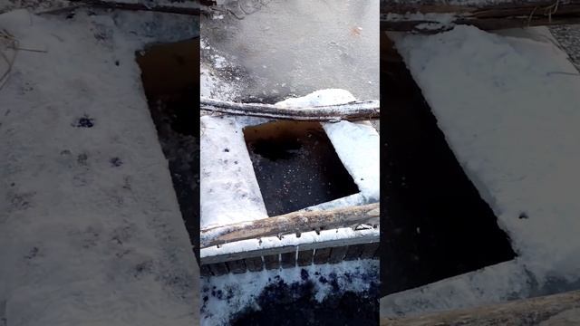 Проверка мордушки смотреть онлайн