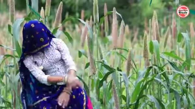 New meena git status 2019 смотреть онлайн