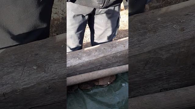 Makita, Dewalt And Milwaukee Old But Gold #ToolsandTricks