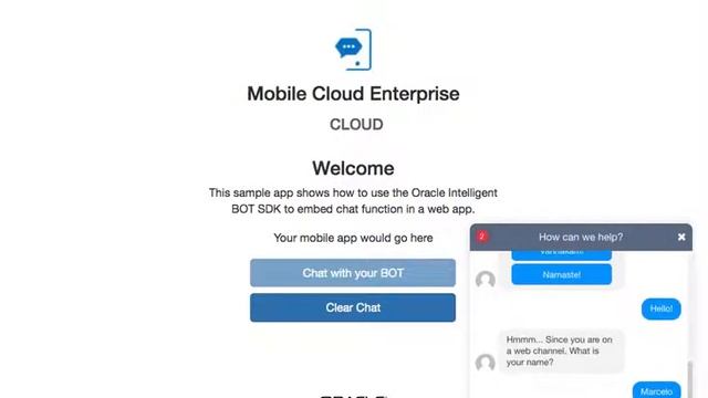 Oracle Web SDK Sample Embedded WebView смотреть онлайн