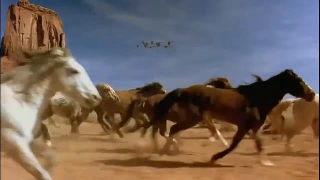 Fearless horse смотреть онлайн