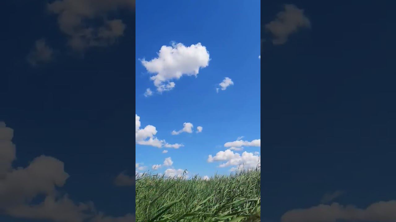 Секретное озеро за Петропавловском #Казахстан смотреть онлайн