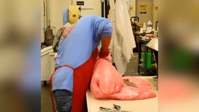 Как делают сладости, производство карамели и леденцов смотреть онлайн