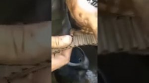 Замена ГРМ PEUGEOT 3008.