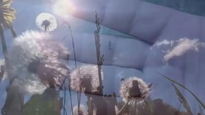 Тимур Пряхин - Белая Русь.