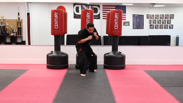 KARATE Lesson 31 - Karate Combo 12