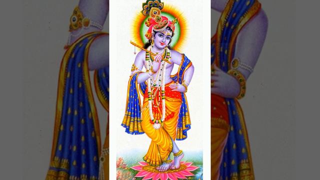Govinda Krishna Hari Gopala Jai|krishna Bajana|by Gangadhara Sastry.