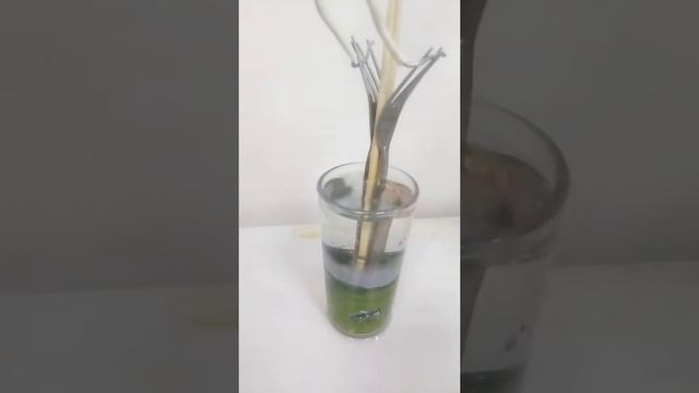 кипятильник за 6 секунд смотреть онлайн